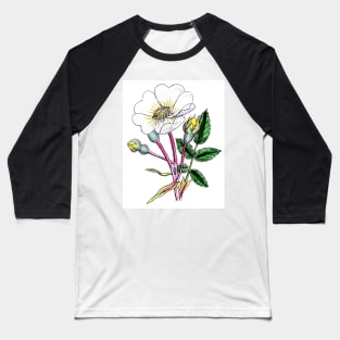 Wild Rose-This is a vintage print Circa 1800-1900 Baseball T-Shirt